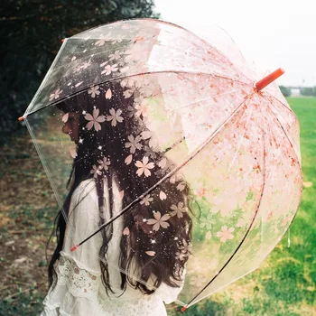 Lovely Sakura átlátszó esőernyő női Apollo madárketrec hercegnő esernyők univerzális virágok hosszú fogantyú Paraguák